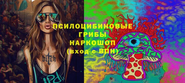 apvp Няндома