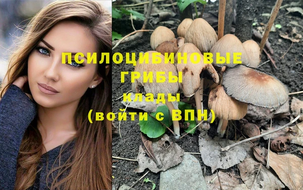 амф Осинники