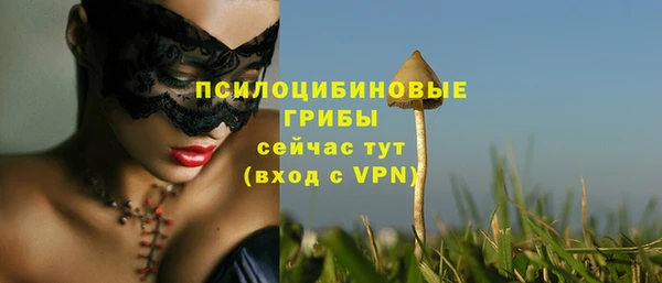 apvp Осташков