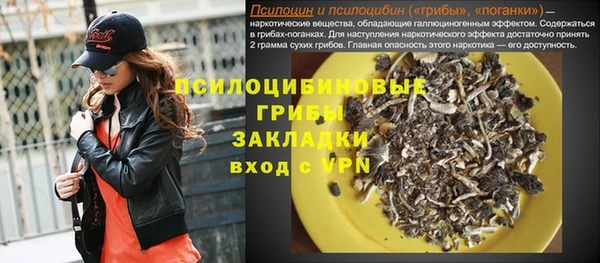 apvp Осташков