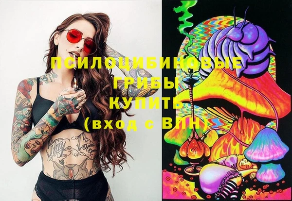 apvp Няндома