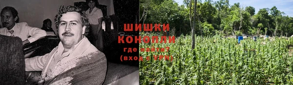 apvp Осташков