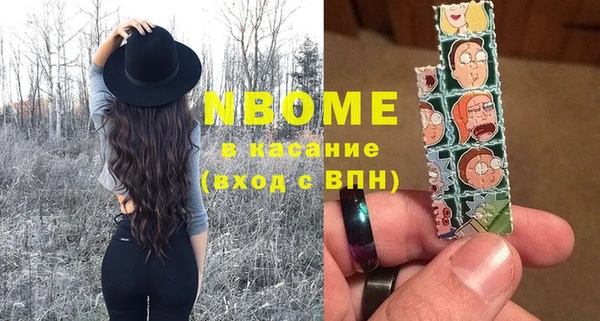 apvp Няндома