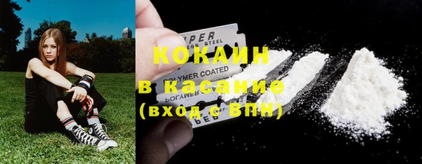 амф Осинники