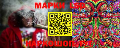 мдпв Кандалакша