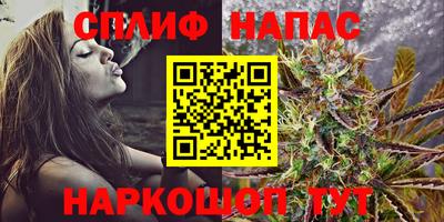Альфа ПВП Канаш