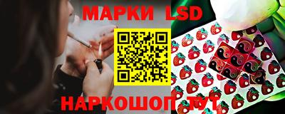 мдпв Кандалакша