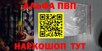 стафф Камышлов