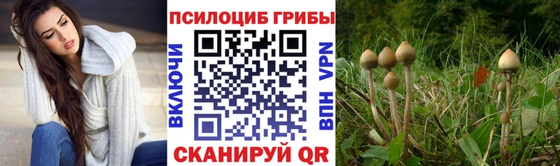 что такое наркотик  Балашов  Галлюциногенные грибы MAGIC MUSHROOMS 