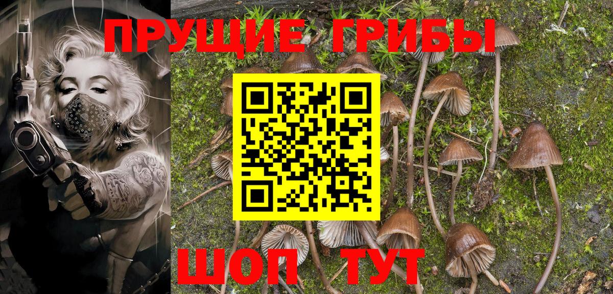 Псилоцибиновые грибы MAGIC MUSHROOMS  Псилоцибиновые грибы прущие грибы  Вход с VPN  Балашов 
