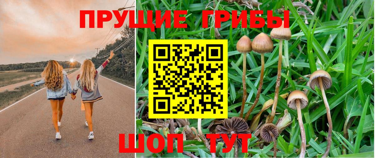 Галлюциногенные грибы Cubensis Балашов